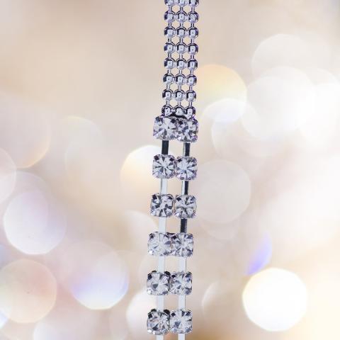 silver with crystals bra straps